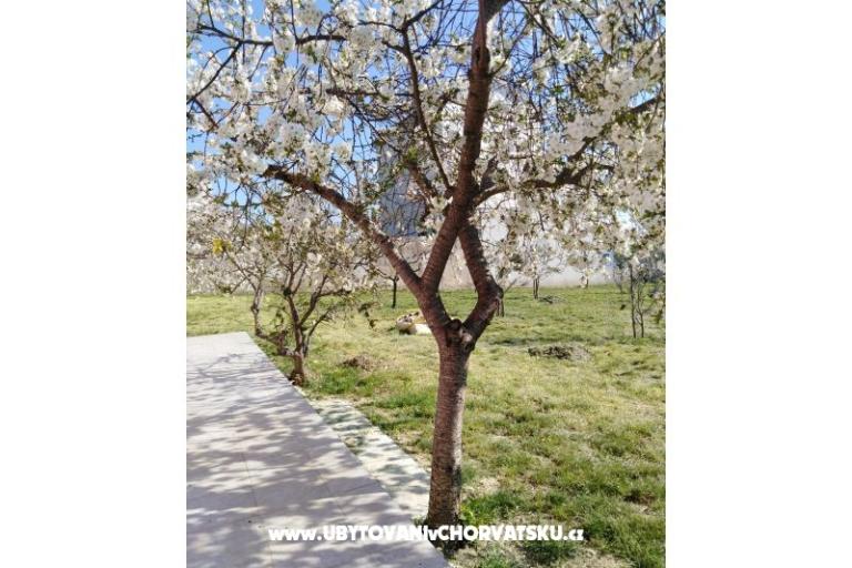 Apartamenty Renić – foto 13
