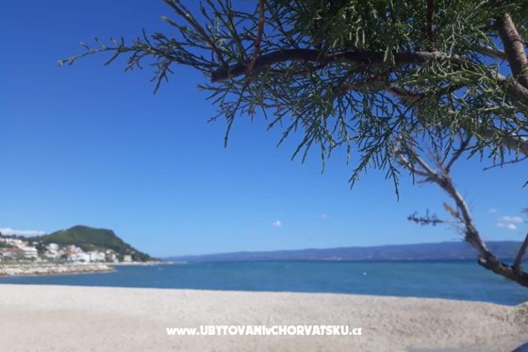 Apartamenty Renić – foto 17