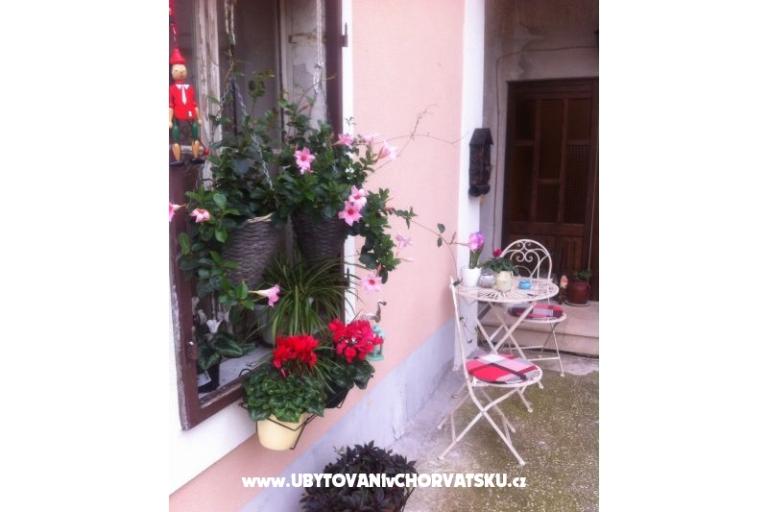 Apartamenty SARA – foto 12