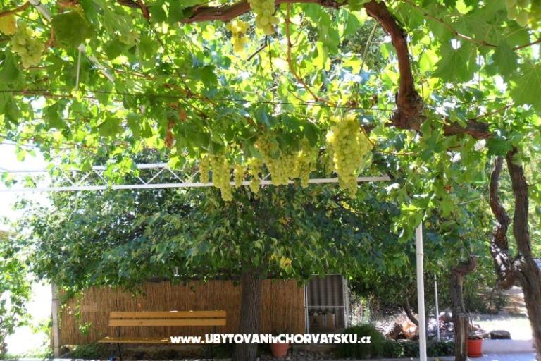 Apartamenty DAMA – foto 9