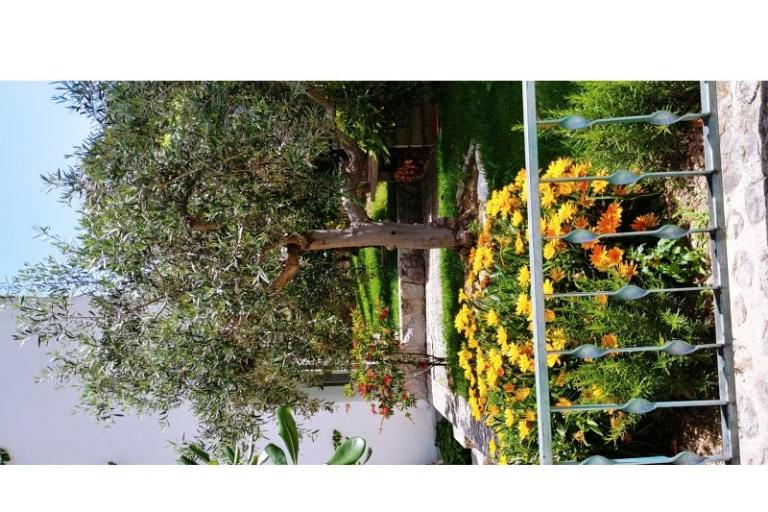 Apartamenty Mršić – foto 6