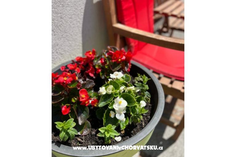 Apartament lux with garden – foto 20