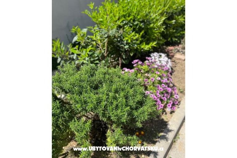 Apartament lux with garden – foto 24