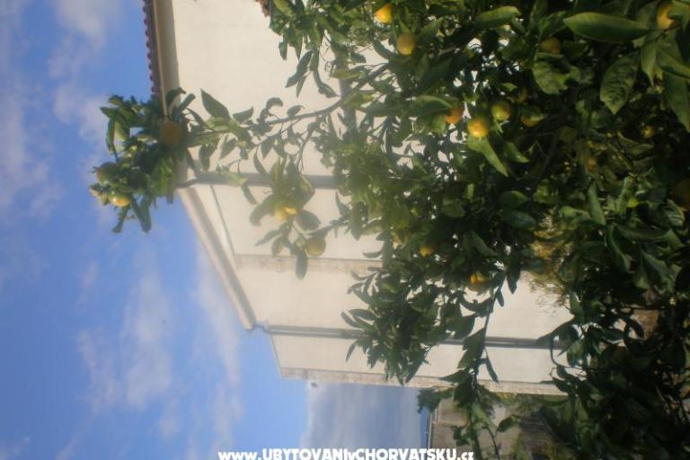 Apartamenty Mandarić  – foto 15