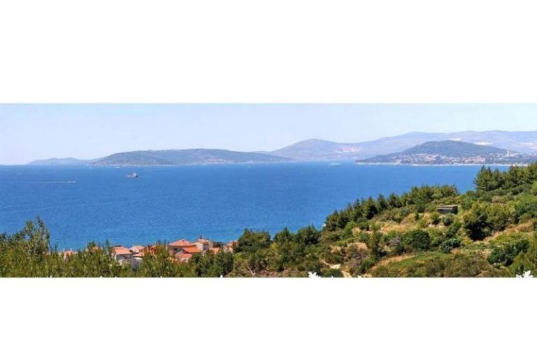 Carso Olea – foto 6