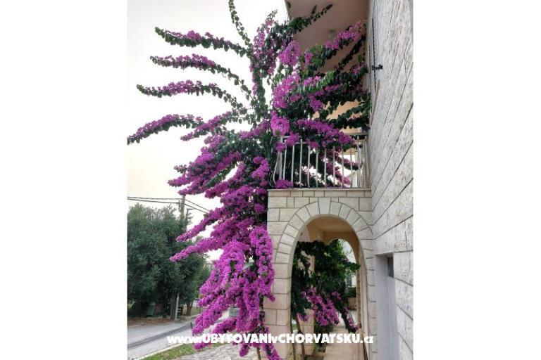 Podstrana Sea View Apartamenty – foto 6