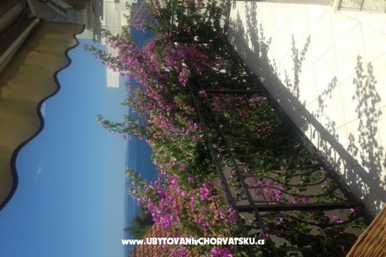 Apartament Gusic – foto 12