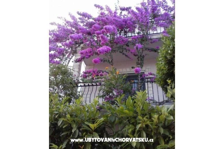 Apartament Gusic – foto 8