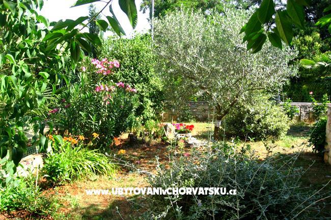 Apartament Nadia – foto 14