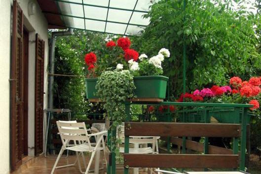 Apartament Nadia – foto 9