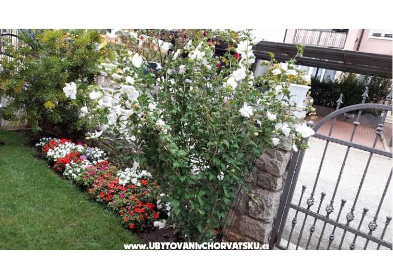 Apartamenty Dragica! – foto 24