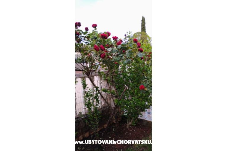 Apartamenty Dragica! – foto 28