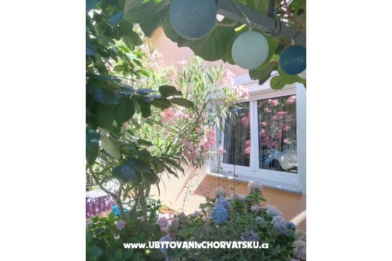 Apartamenty Lucija – foto 15