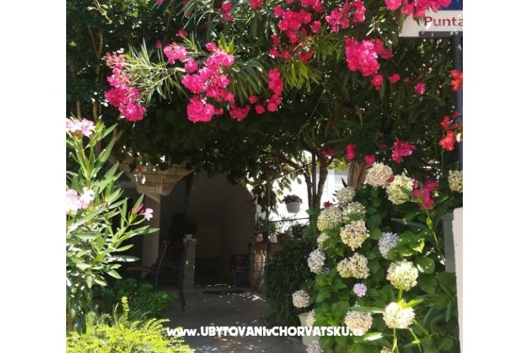 Apartamenty Lucija – foto 17