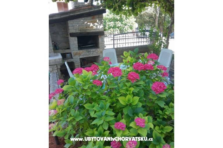 Apartamenty Mara – foto 9