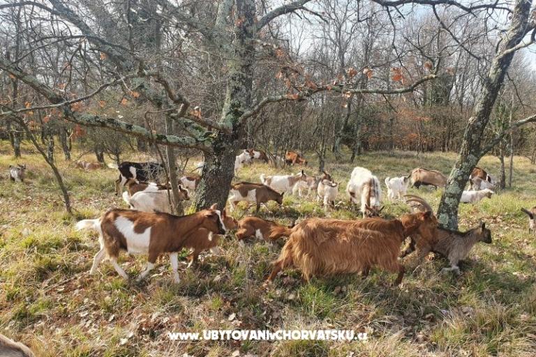 Apartamenty Kero – foto 16