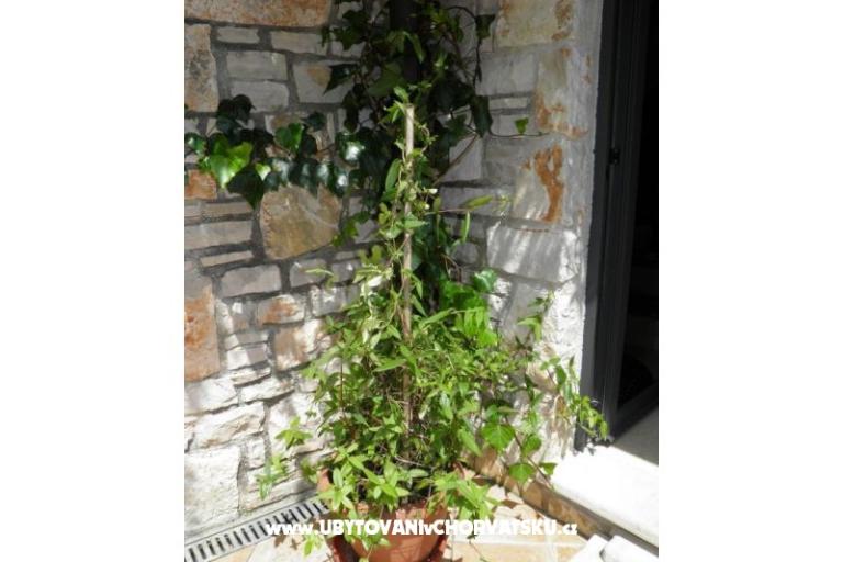 Nina A2+1 – foto 16