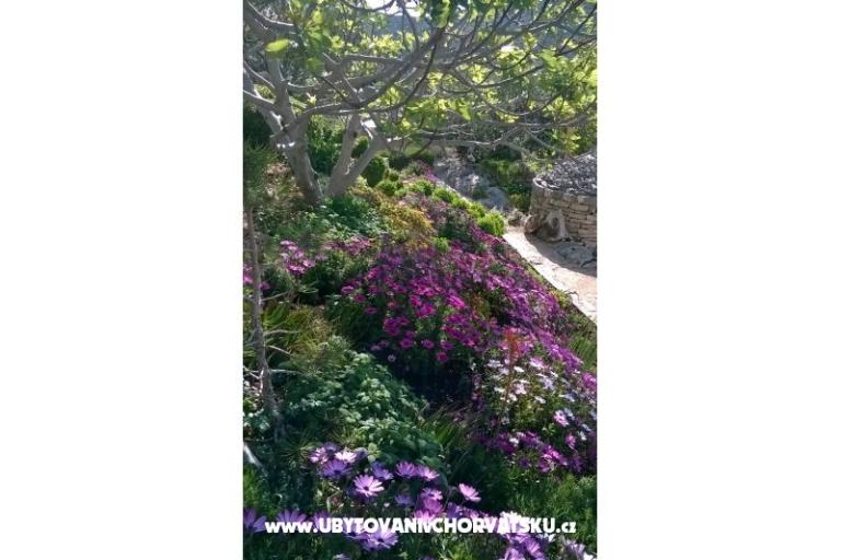 Apartamenty   Luka – foto 10