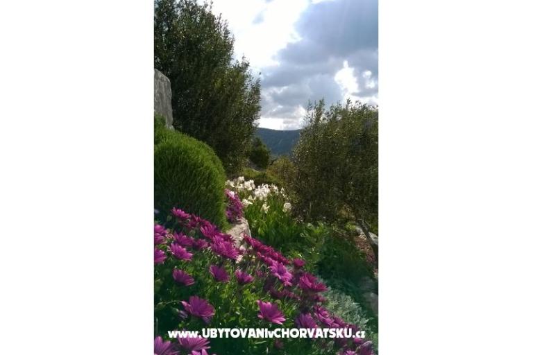 Apartamenty   Luka – foto 5