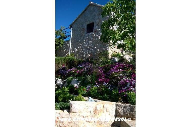Apartamenty   Luka – foto 6