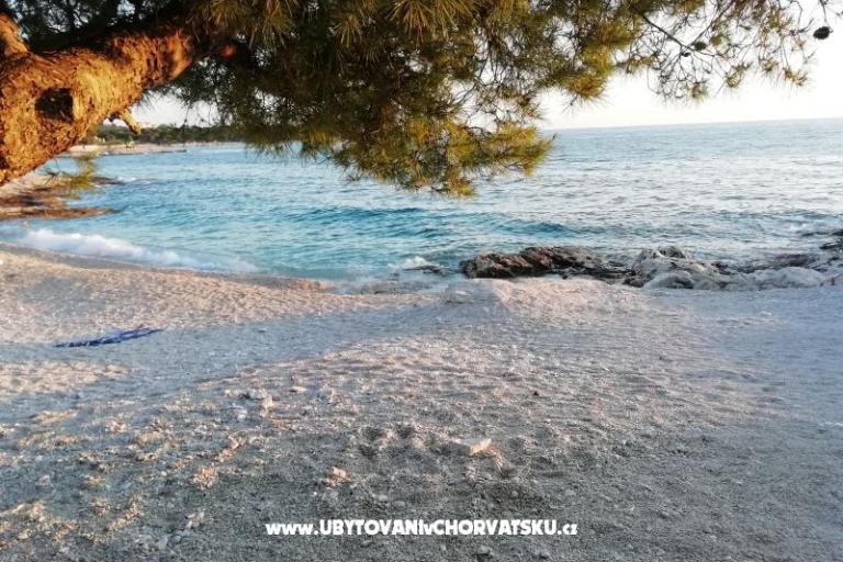 Apartamenty Andreja – foto 13