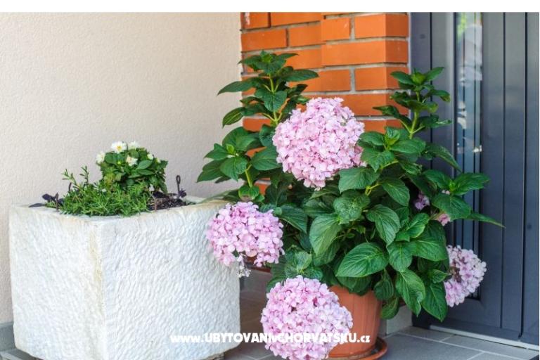 Apartamenty Andreja – foto 3
