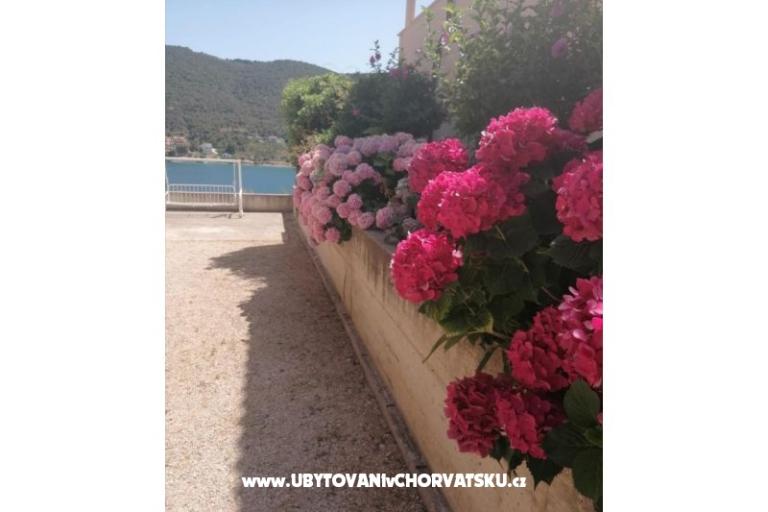 Apartamenty ANTONIA – foto 8