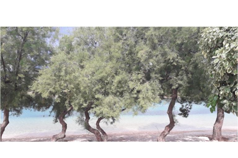 Apartamenty Natalija i Ante – foto 10