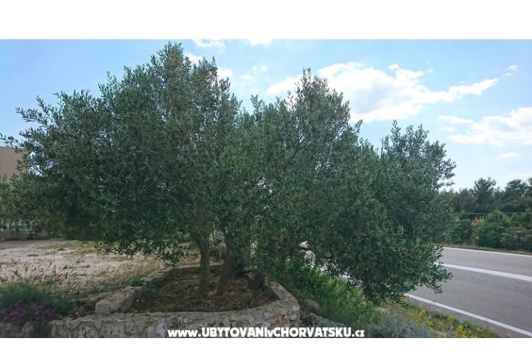 Apartamenty Kocka  – foto 10