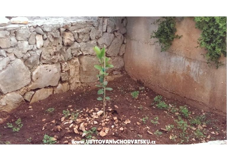 Primosten Apartamenty Rest place – foto 6