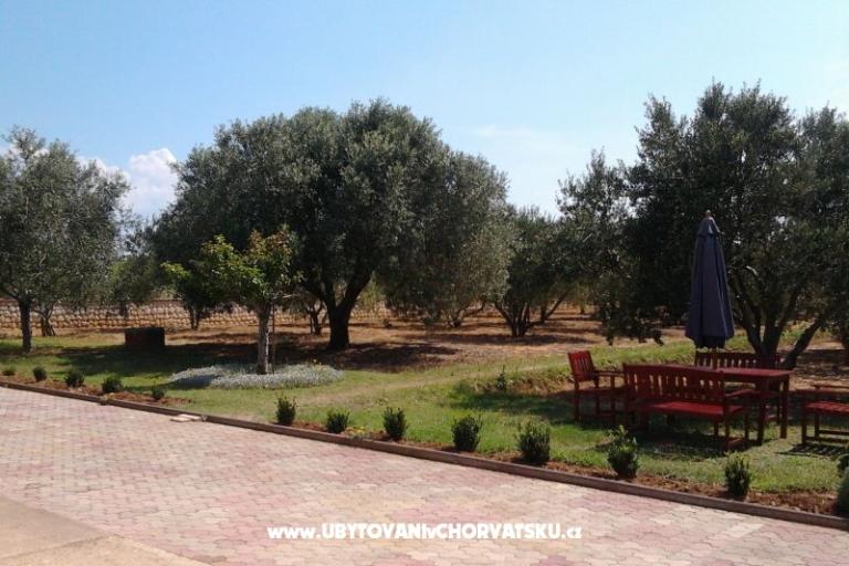 Apartamenty Vesna a Ante – foto 11