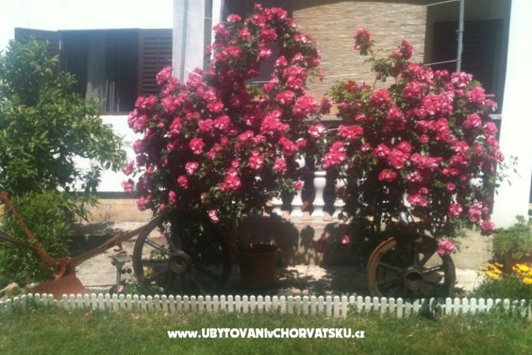 Apartament Luka – foto 15