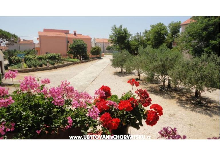 Apartamenty Ankica – foto 9