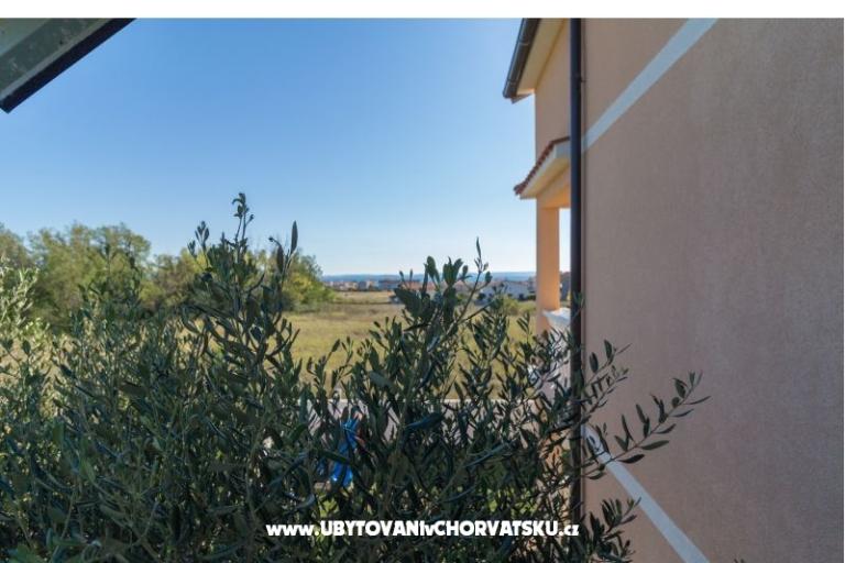 Apartamenty Divino – foto 10