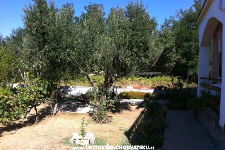 Apartamenty Ivan – foto 14