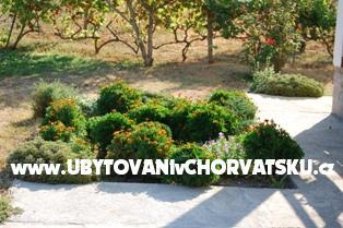 Apartamenty Ivan – foto 16
