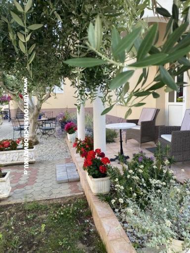 Apartamenty Jurac – foto 19