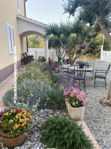 Apartamenty Jurac – foto 3