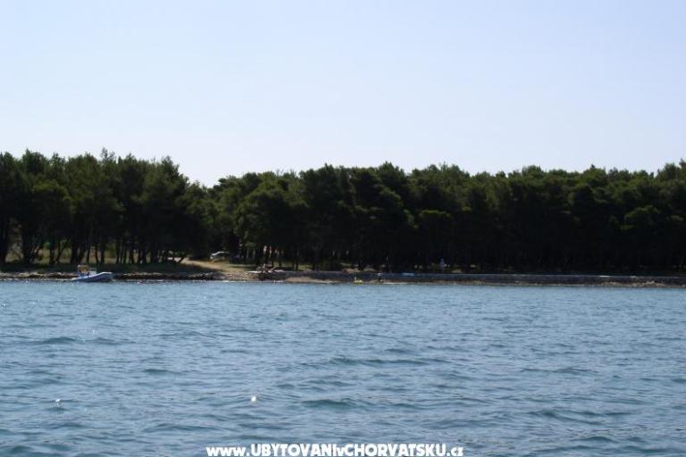 Apartamenty Nadija – foto 4