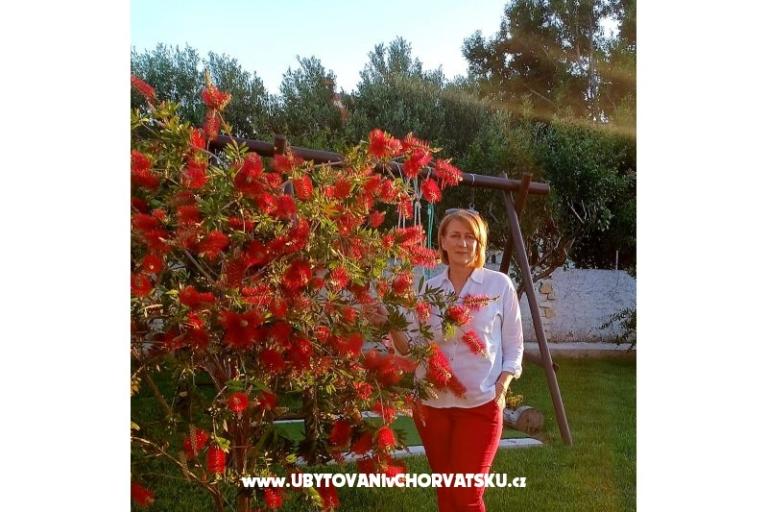 Apartamenty Lantana – foto 16