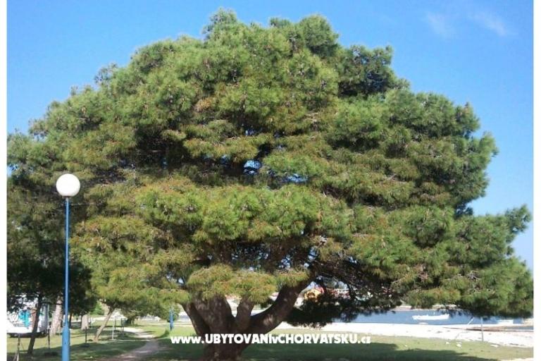 Apartamenty Šarić – foto 10