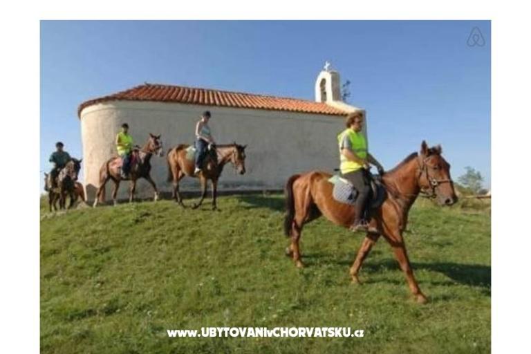 Apartamenty Šarić – foto 9
