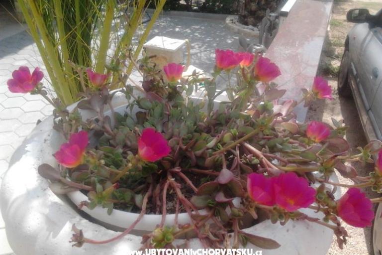 Apartamenty Tiffany – foto 8