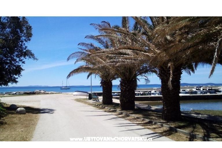 Apartamenty Tomi – foto 4