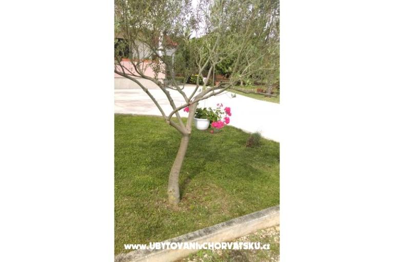Apartamenty Tomi – foto 9