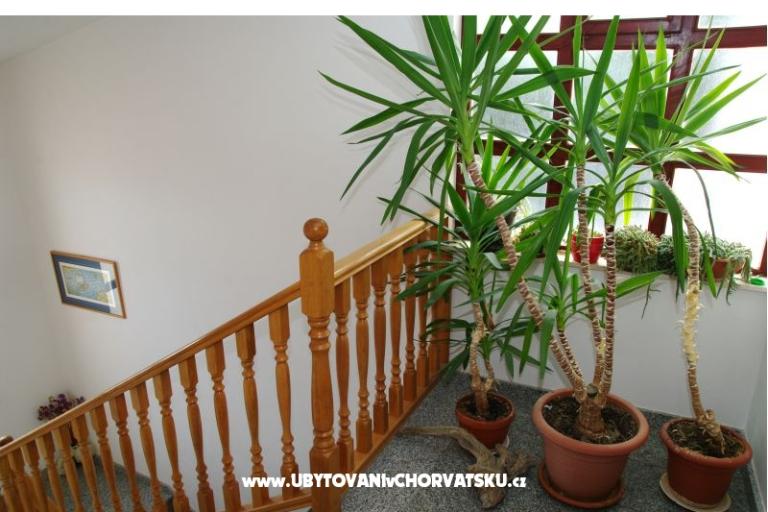 Apartamenty Mario – foto 9