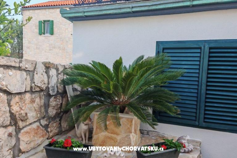 Apartamenty Liljana Ledinko – foto 9