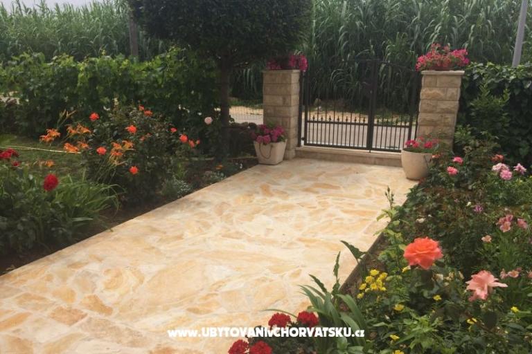 Apartamenty Lolo – foto 14