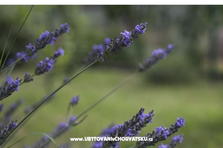 Apartament Lu&amp;Li – foto 18