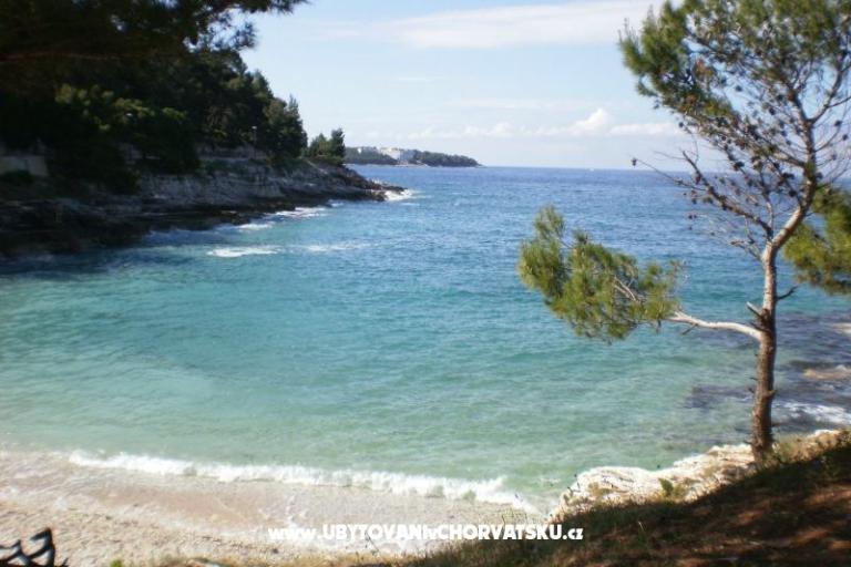 Apartament Kranjac – foto 17